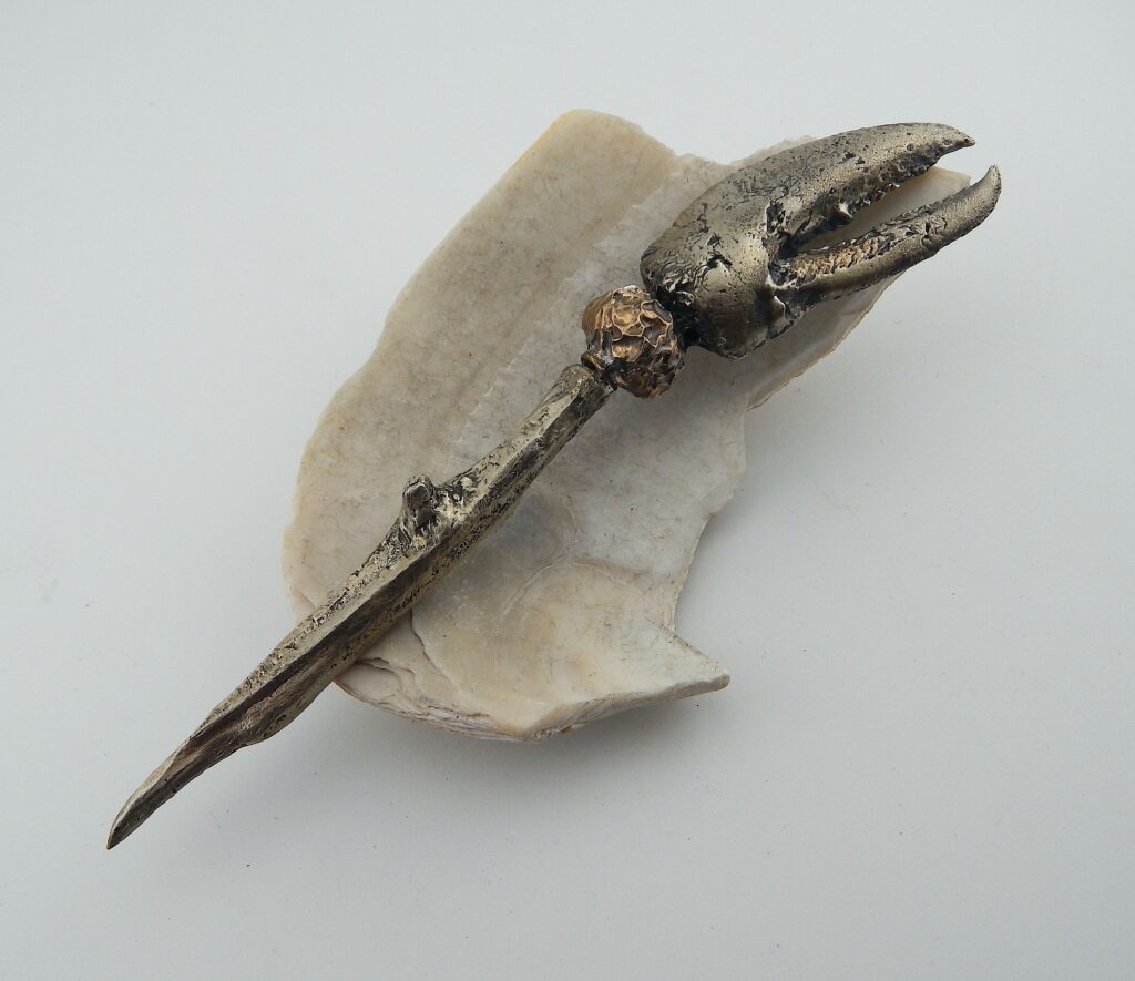 Claw, Rosehip & Twig
olive & cheese pick

White bronze, bronze
15cm long

$210
